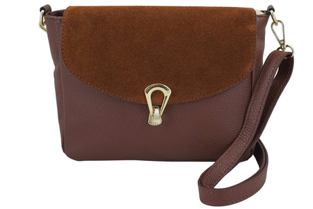 Torebka Barberinis ze złotym zapięciem - Brązowa
